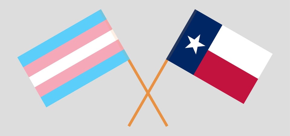 Texas: Prohibición universitaria