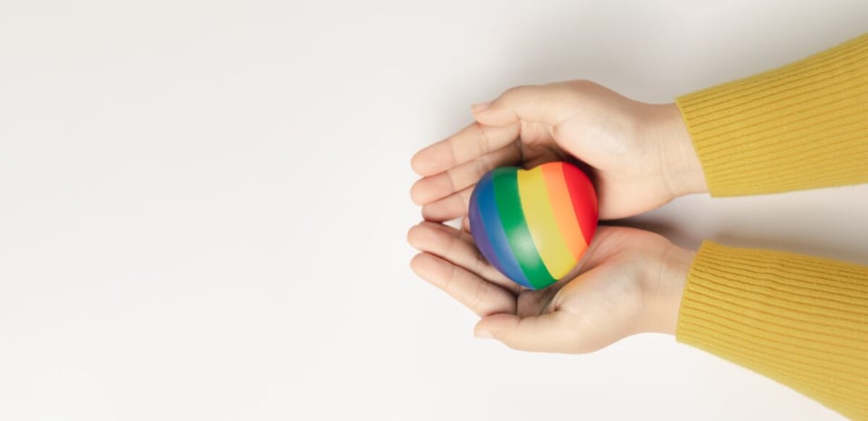 LGBTQ+ flag, prevent homophobia, prevent transphobia