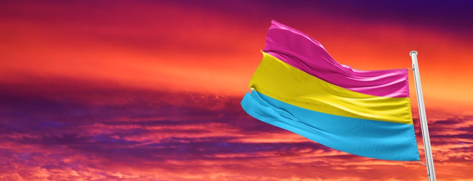 Bandera pansexual Bandera pansexual