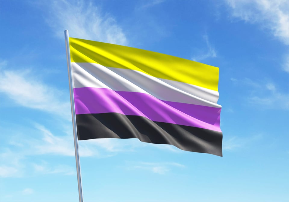 lgbt flag, pride, non-binary individuals, lgbt rights, MundoNOW