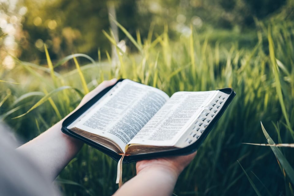 7 reflexiones de la Biblia para el 2024, versículo, salmo, plegaria, lectura