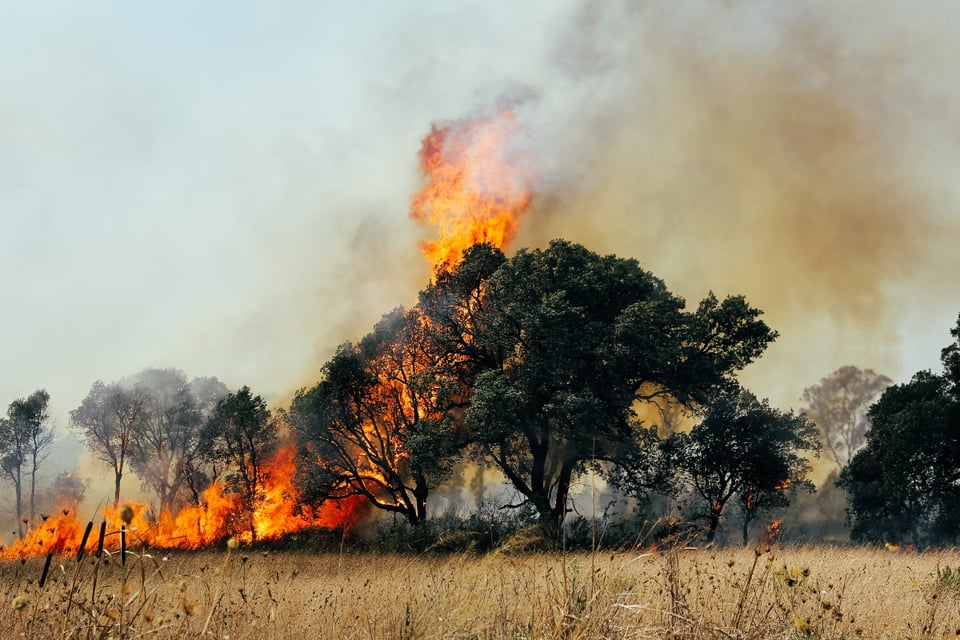 Ordenan evacuación por el incendio en Louisiana para proteger habitantes