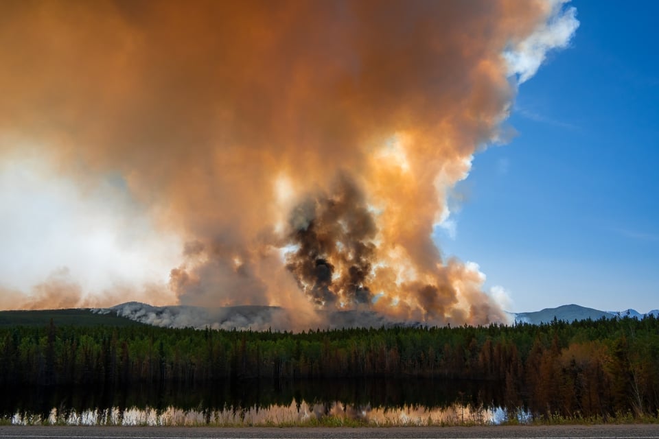 Ordenan evacuación por incendio forestal en Louisiana featured image