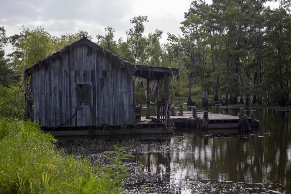 pantano, tampa, florida, casa, cabaña