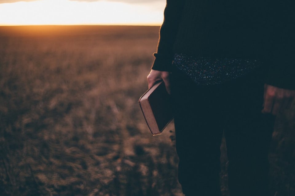 Vida diaria, integración, espiritualidad, paz, tranquilidad
