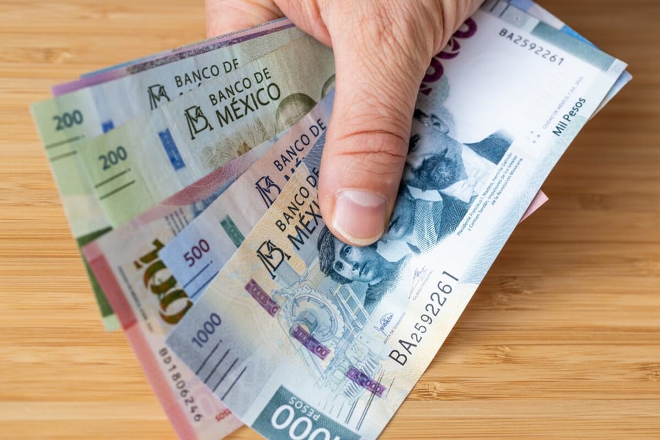 money, travel, hand, cash, MundoNOW