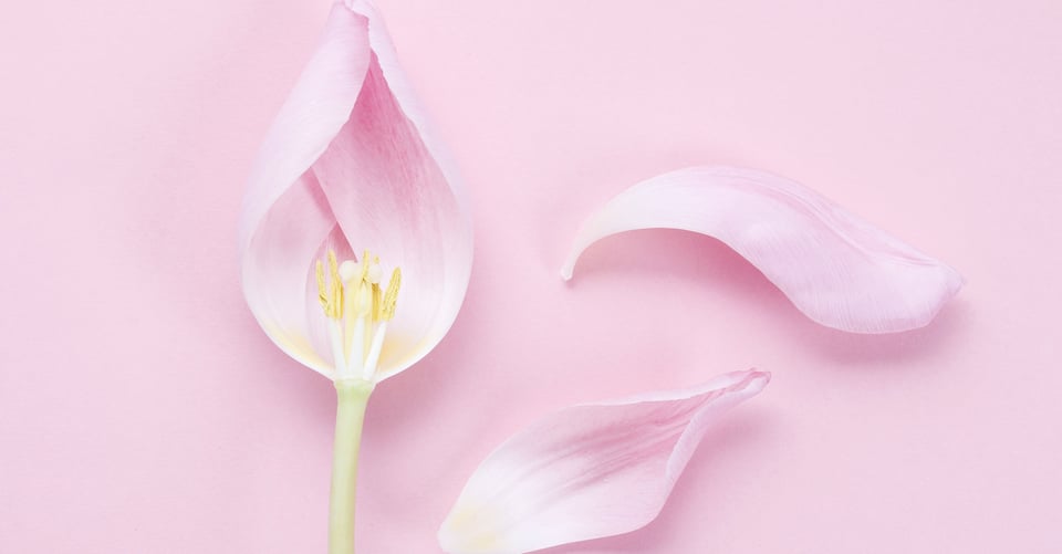 Flash informativo: Síntomas de la menopausia precoz e información
