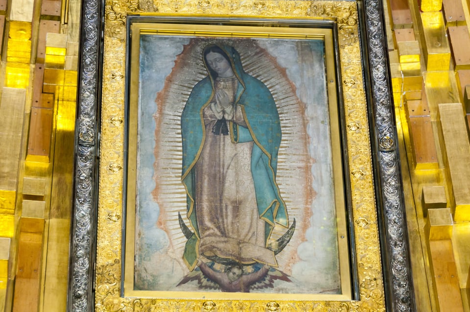 Daniel Arenas Virgen Guadalupe