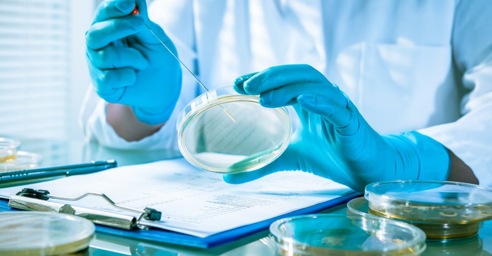 What is Listeria and why should we be concerned?