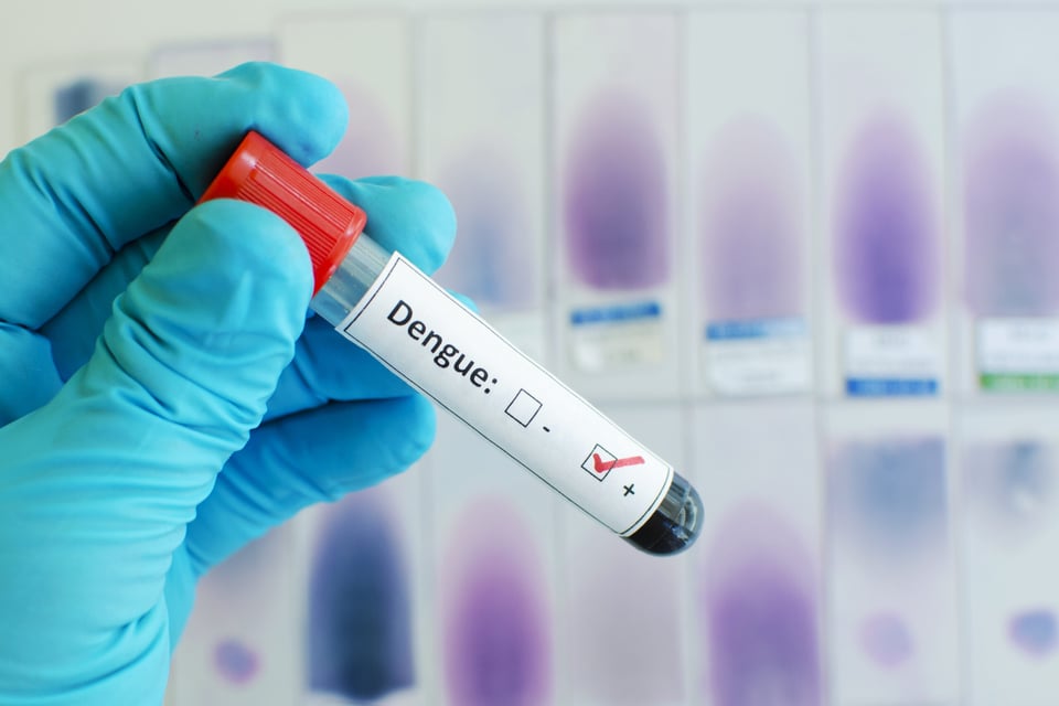 Los casos de dengue han aumentado significativamente en esta región