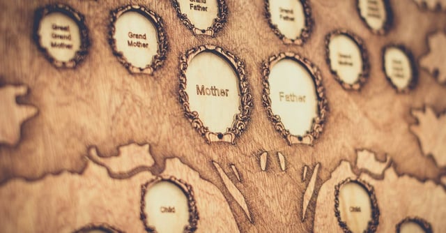 Kinship Control: How to Trace Your Ancestry and Make a Family Tree