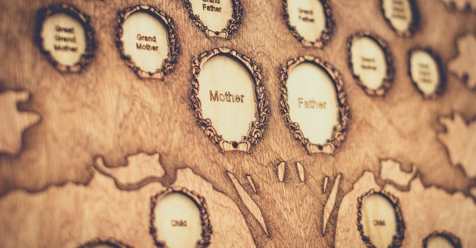Control de parentesco: cómo rastrear tu linaje y hacer tu árbol genealógico