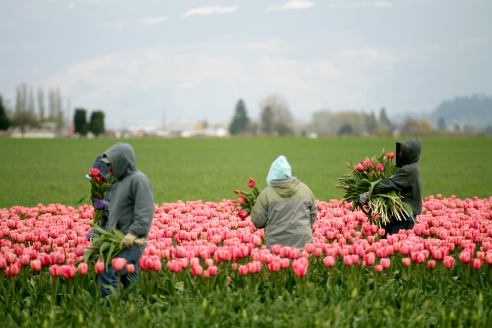 Jobs in Washington