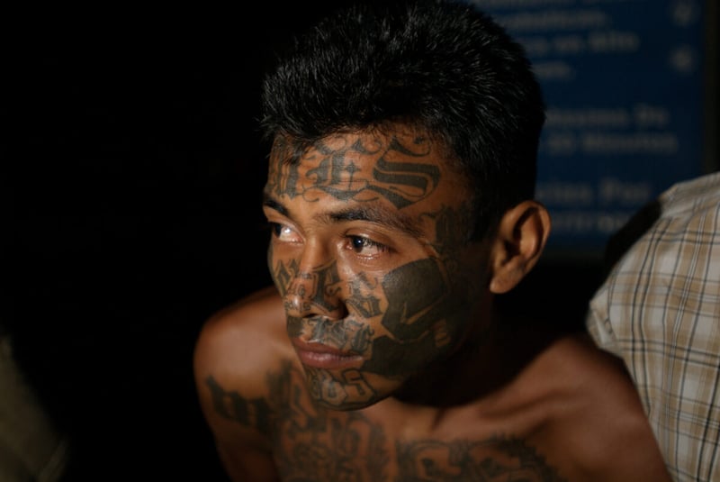 MS-13, Nashville, El Salvador, policía, eeuu