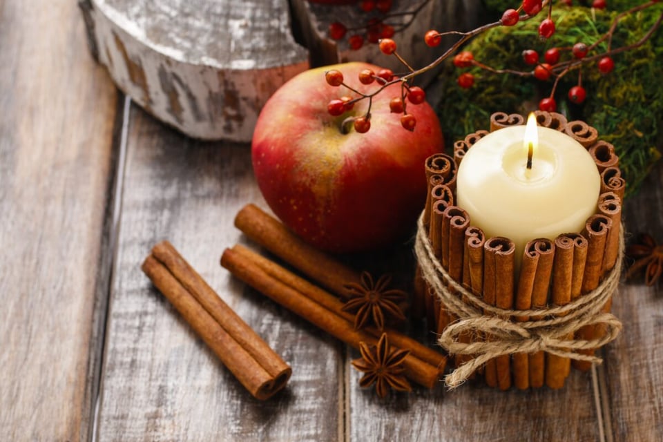 manzana, canela, especias, muérdago, MundoNOW