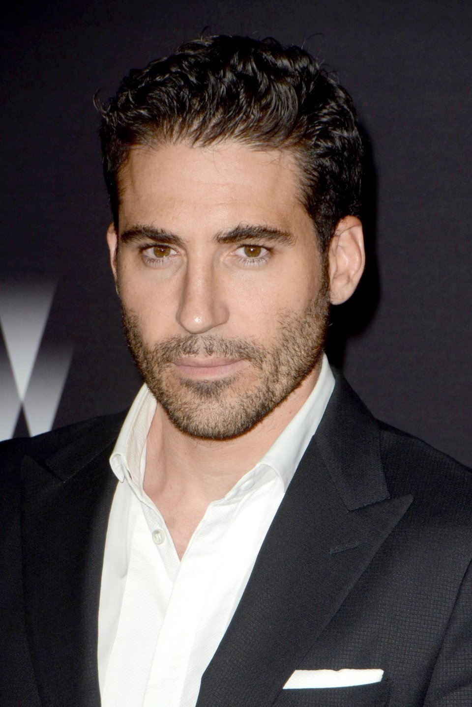 Miguel Ángel Silvestre