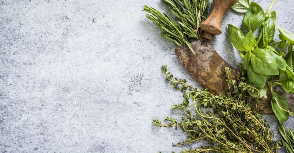 Healing herbs: 15 medicinal herbs to keep in your pantry