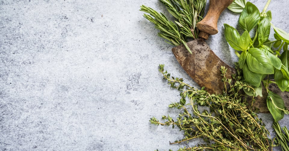 Hierbas curativas: 15 hierbas medicinales para tener en tu alacena