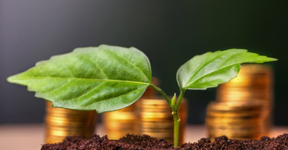 ¿Debería usar diferentes compañías de inversión para asegurarme de diversificar mi portafolio?