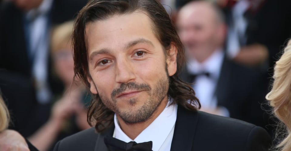 Actor Diego Luna
