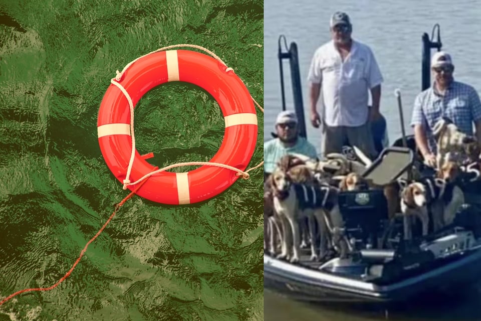 Pescadores rescatan 38 perros en dramático operativo en el Río Misisipi featured image