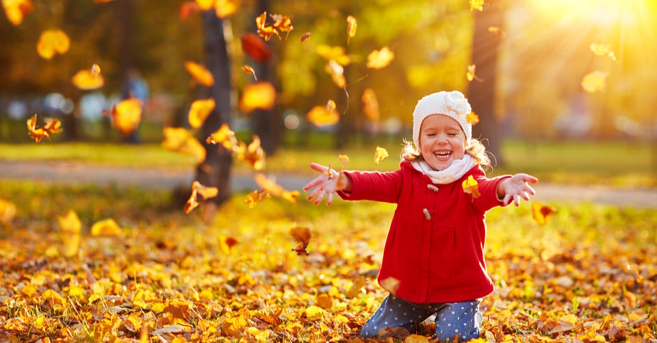 Para el Día de Acción de Gracias: 5 Excelentes libros infantiles sobre amabilidad y gratitud featured image