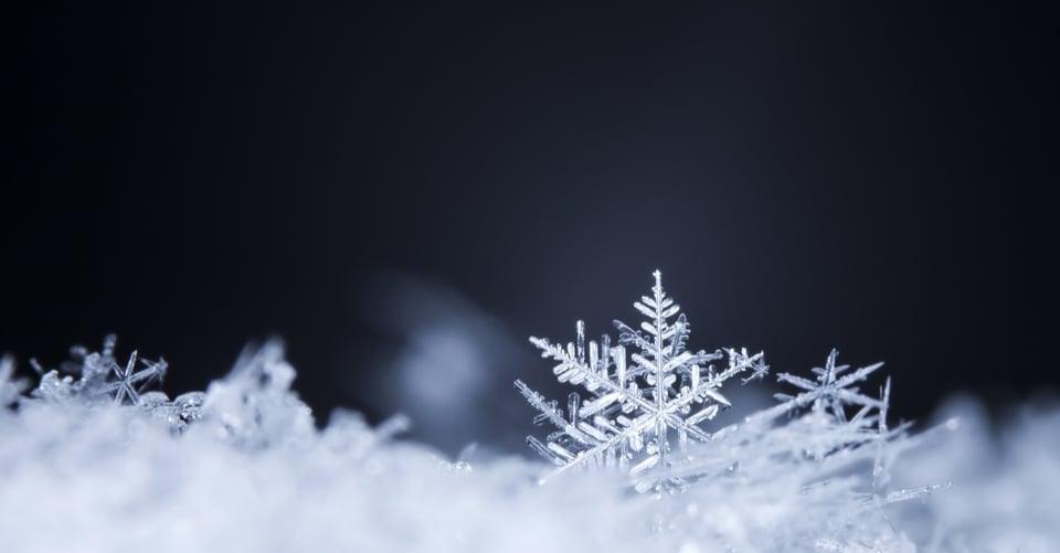 Copo de nieve como idea de frío