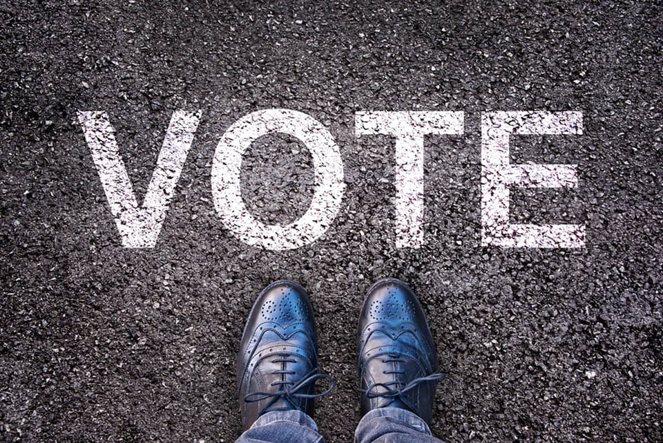 Can I vote in my native language?