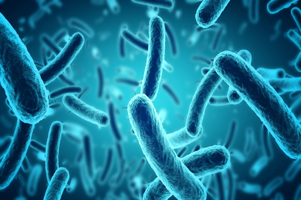 ¿Cómo se originó la listeria?