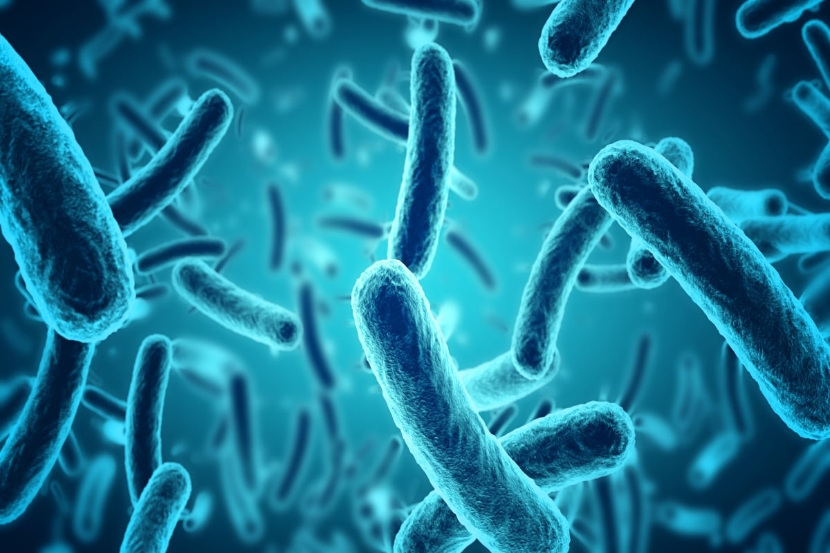 ¿Cómo se originó la listeria?