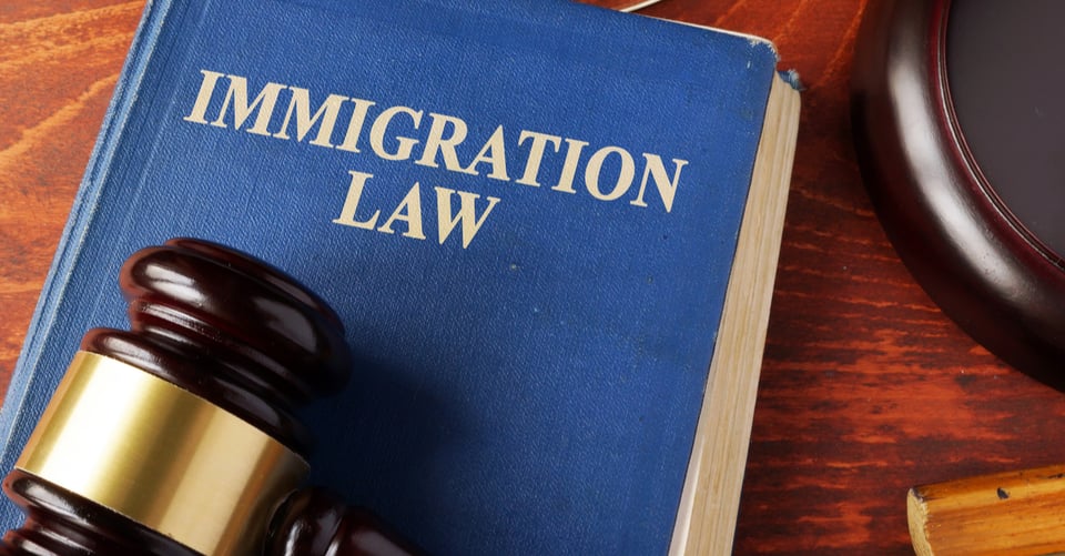 Libro que dice ley de inmigración en inglés