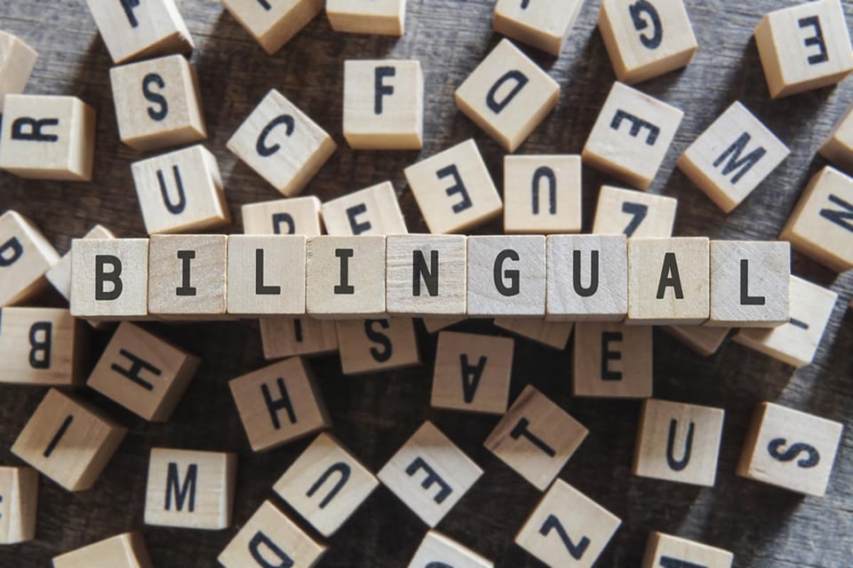 How to maintain a bilingual household