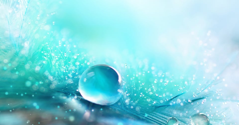Con gas, Spritzers y Seltzer: ¿Sí o no o agua carbonatada? featured image