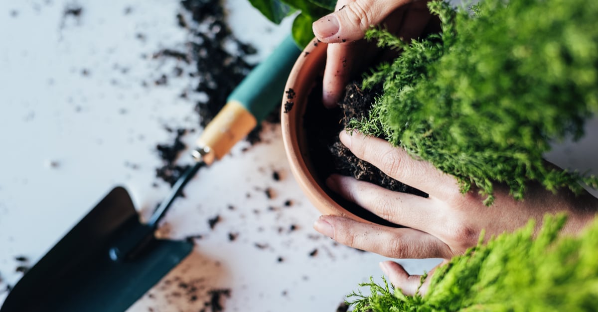 14 razones por las que todos deberían aprender de abono