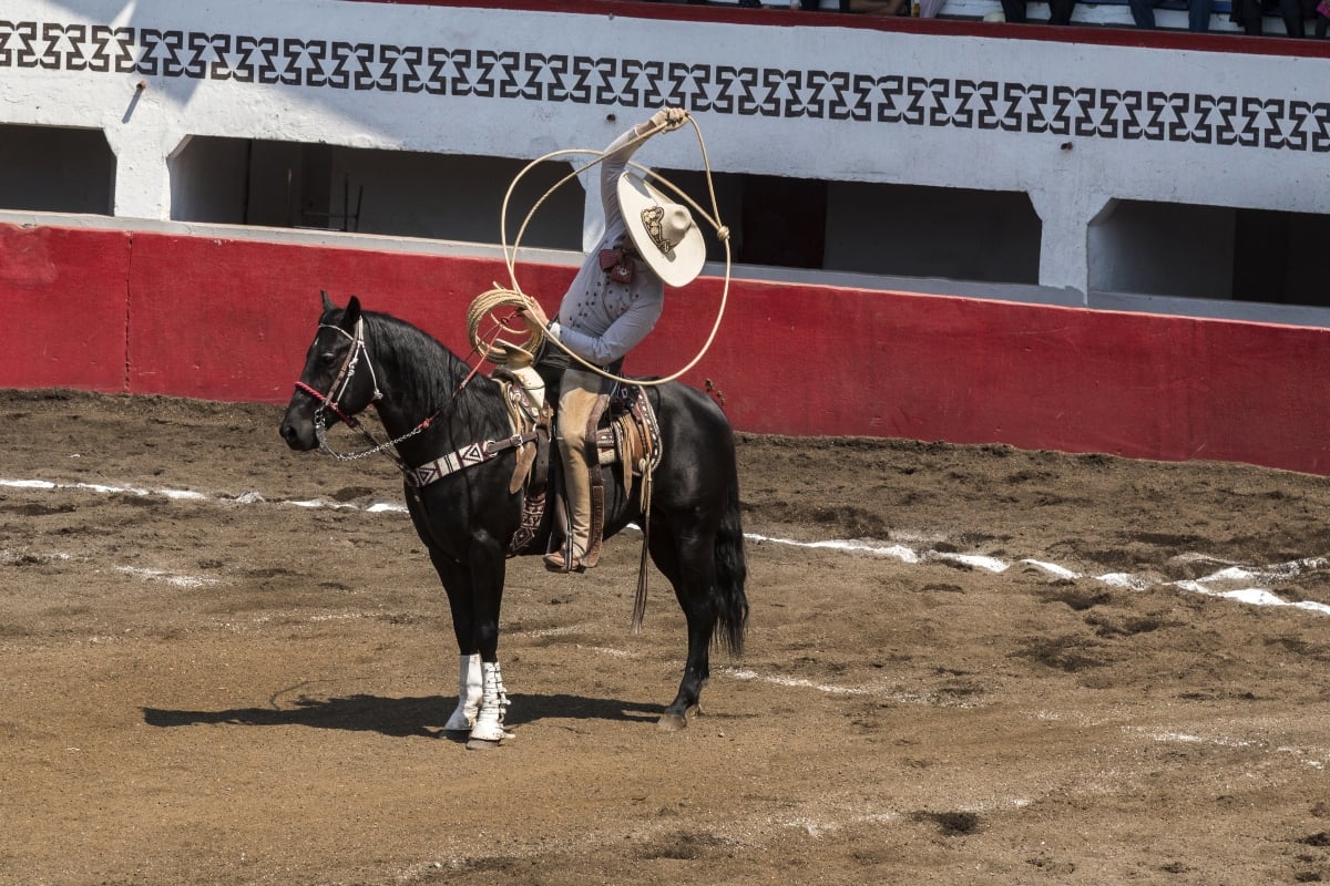 ¿No que se había operado? Esposa de El Charro que ofendió a inmigrantes decepciona en traje de baño