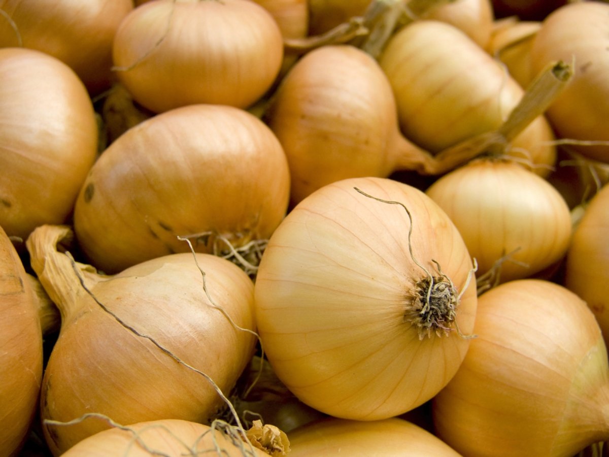 Ordenan recall de cebollas vendidas en varios estados por posible contaminación