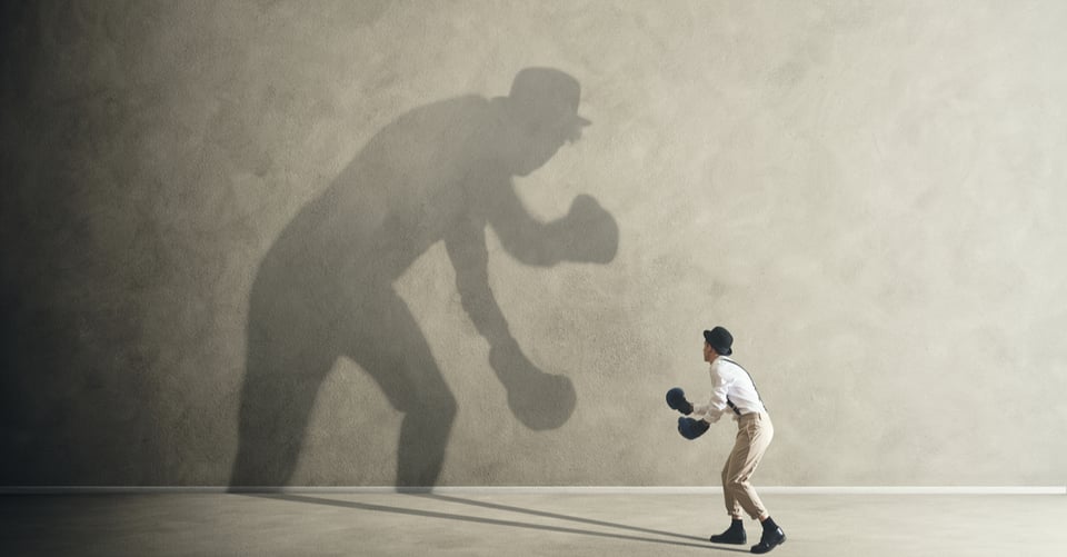 La ninja sin miedo: Cómo conquistar tus peores fobias