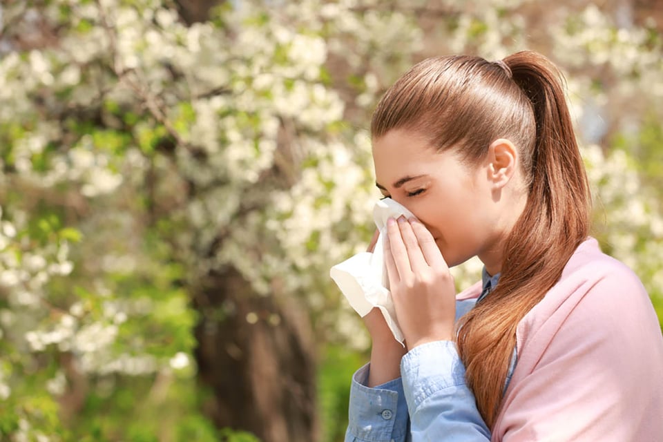 Seasonal allergies: Myths vs. facts