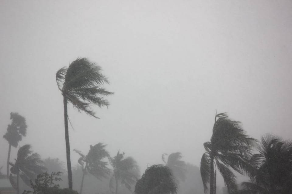 They forecast 6 to 10 hurricanes this season