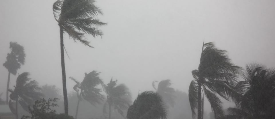 Nueva York corre un nuevo riesgo: El primer nor’easter de la temporada featured image