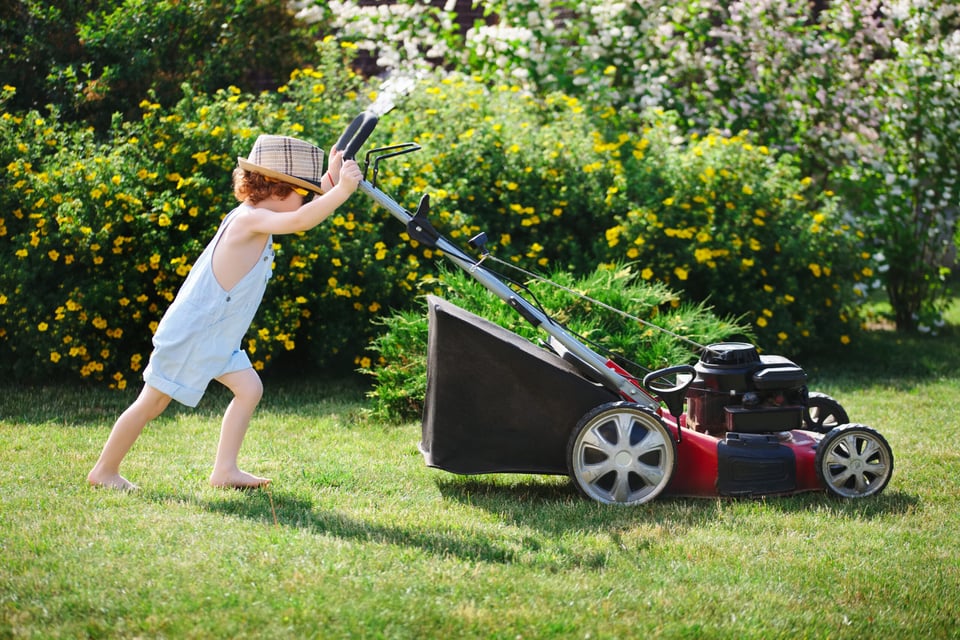 lawn mower