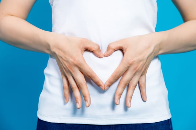 La conexión entre la salud intestinal y la grasa abdominal: cómo mejorar ambas