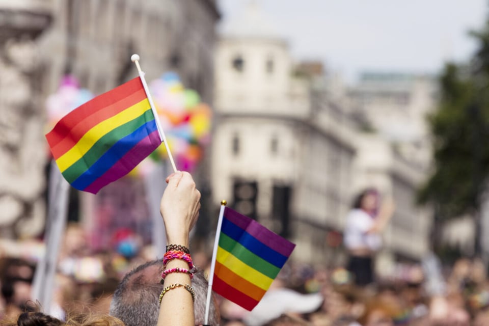 LGBTQIA+ Rights, march, demonstration, LGBTQIA+ flag