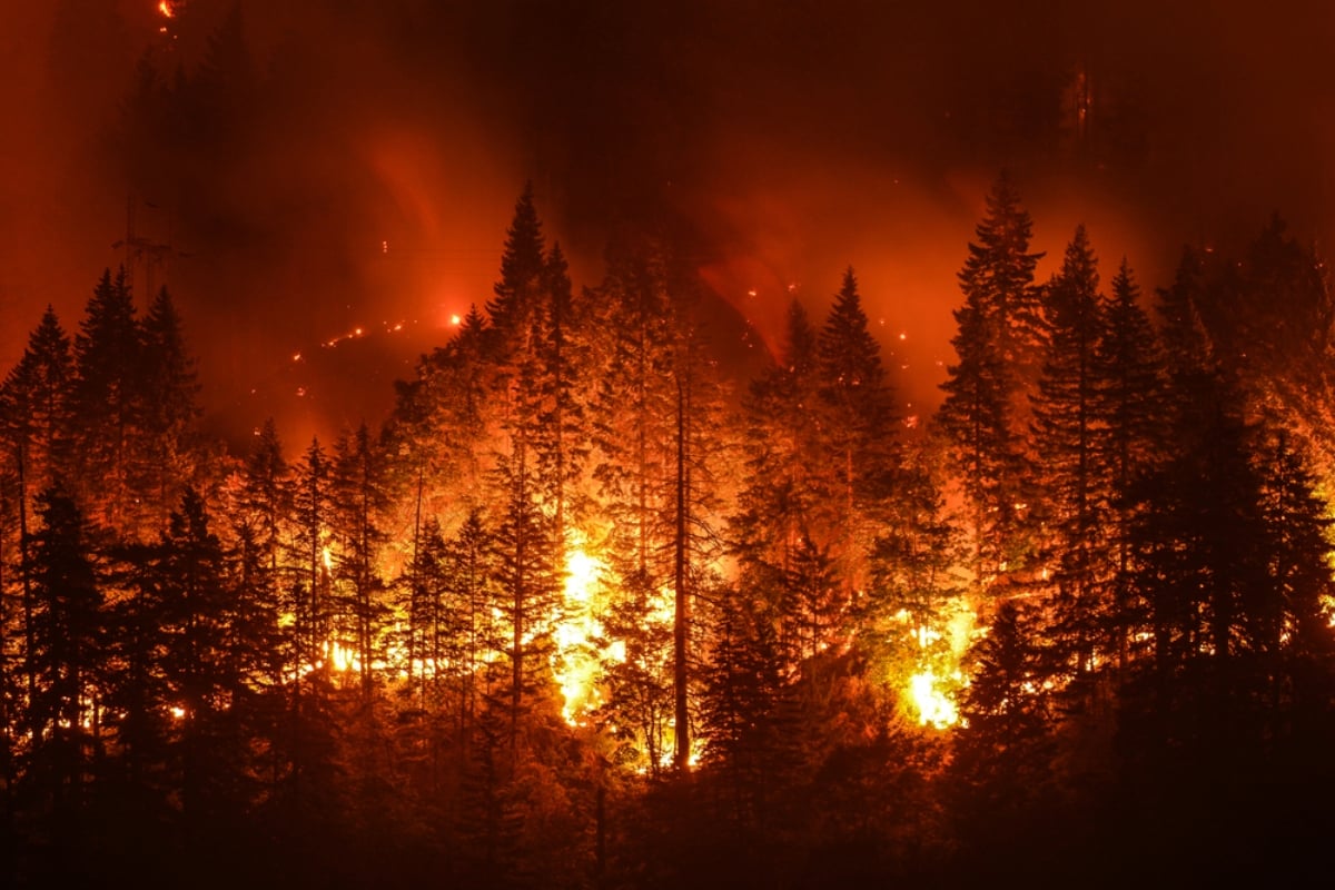 Incendio forestal en Oregon deja un bombero muerto: declaran estado de emergencia