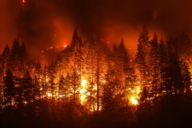 Incendio forestal en Oregon deja un bombero muerto: declaran estado de emergencia