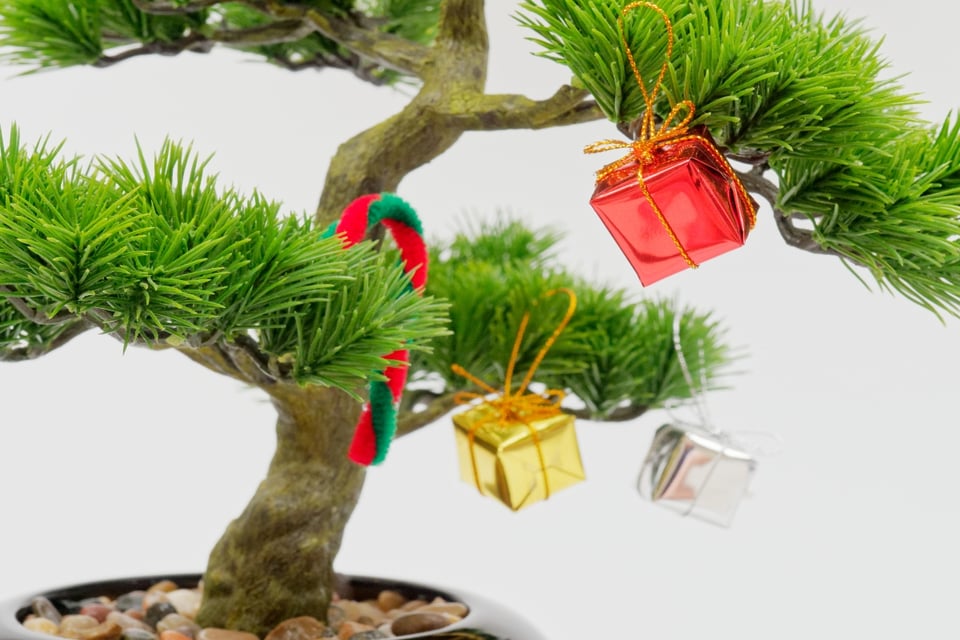 Ideas to decorate Christmas tree, Christmas tree, bonsai, Christmas, MundoNOW