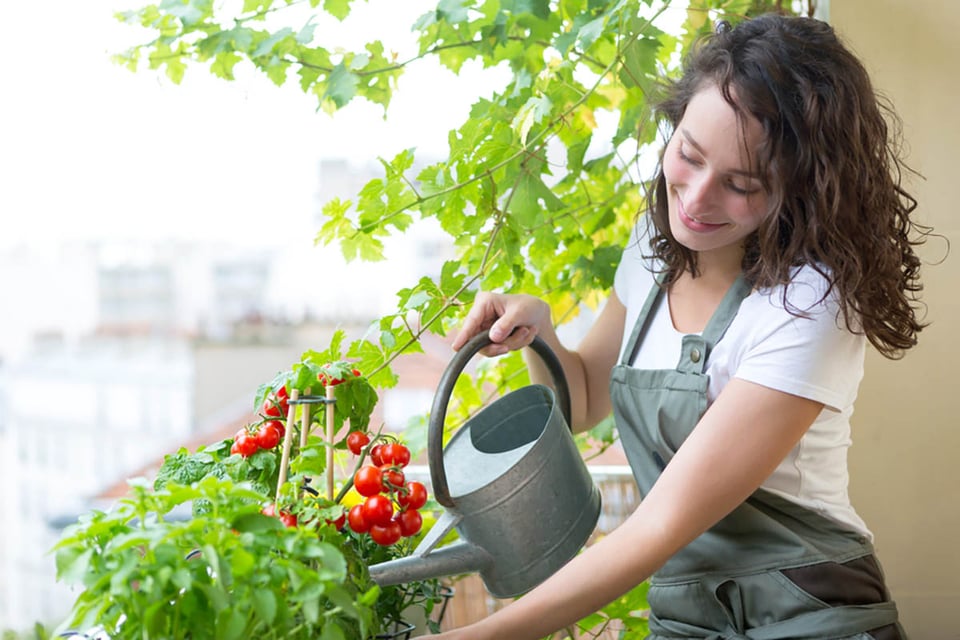 balcony, garden, watering, woman, MundoNOW