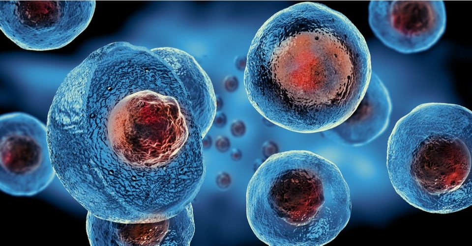 What is cancer? The 5 different types that kill