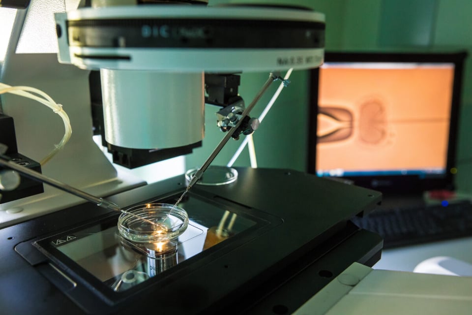 PGT-A, Evaluación genética, Implantación exitosa, Transferencia personalizada, Factores individuales