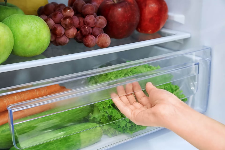 moderno, refrigerador, cajones de humedad, MundoNOW